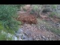 Flash Flood Beginning Near Virgin Utah & Zion National Park