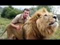 Lion Tamer Teenager In South Africa