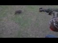 First Crossbow Helicopter Hog Hunt