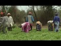 Senegal: Sowing the Seeds