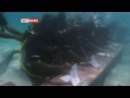 Maldives Cabinet Meeting underwater (sky news)