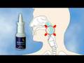 How to use the Asonor snore stop nasal delivery system