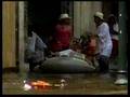 Hurricane Katrina - YOU MUST WATCH THIS