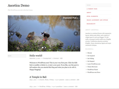 Ascetica WordPress Theme