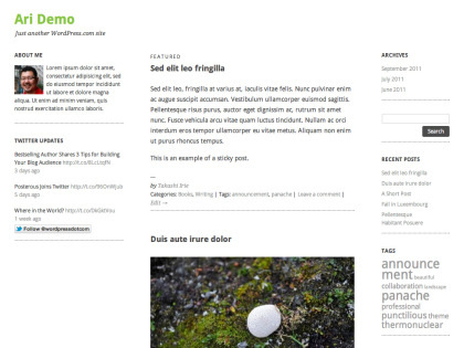 Ari WordPress Theme