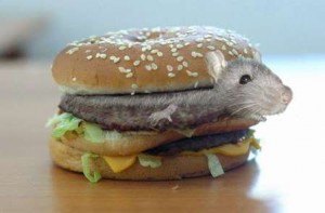 ratburger