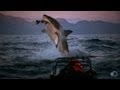 Favorite Shark Week Moments | Shark Week 2013