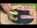 HexBug Nanos -  Can they Walk on Mercury? (kids)