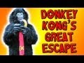 TSVGS - Donkey Kong's Great Escape - That Stupid Video Game Show