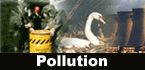 Pollution