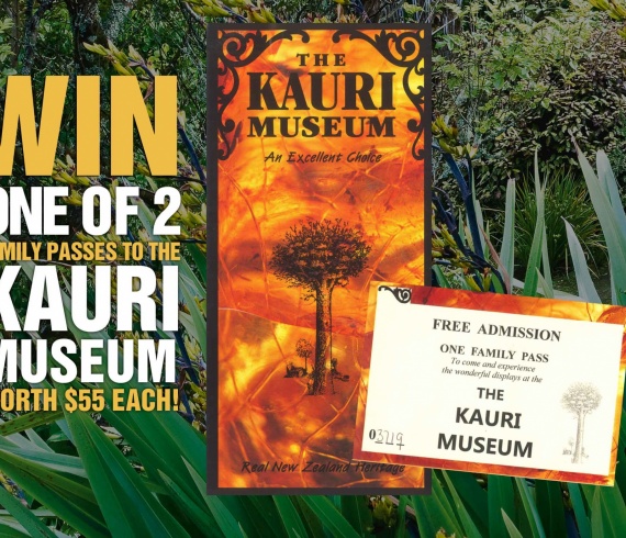 kauri_final