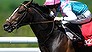 Jet Away 'on the rise' for Caulfield Cup (Video Thumbnail)