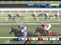 2010 Secretariat Stakes