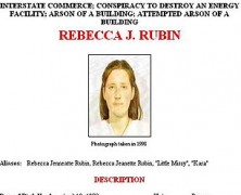 Rebecca Rubin pleads guilty to freeing horses and setting fires at wild horse corrals