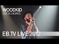 Woodkid live in Zagreb (2012)