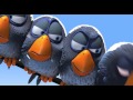 For The Birds Original HD 720p