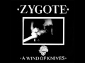 Zygote - Motion