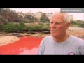 Signs of Thy Coming : Australian Beaches turned Blood Red (Nov 27, 2012)