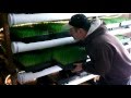 Barley Fodder Grow Room Procedures - Step by Step through the Daily Task