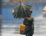 Typhoon Wipha hits Tokyo area, killing at least 14