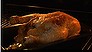 Simple roast chicken (Video Thumbnail)