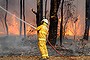 Firefighters tackle a bushfire at Winmalee in the Blue Mountains, NSW.
19th October 2013 Photo by Janie Barrett