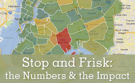 CCR's Stop and Frisk campaign website screenshot