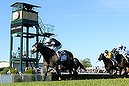 Fawkner sprints clear to win Caulfield Cup (Thumbnail)