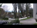 Strange Sounds in Terrace BC Canada Aug 29th 2013 7:30am (vid#3)