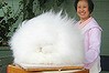 angora