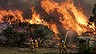 Climate change could lead to more bushfires (Video Thumbnail)