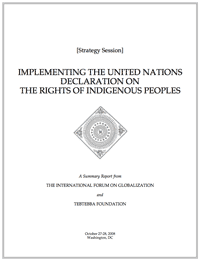 Implementing the UN Declaration on the Rights of Indigenous Peoples