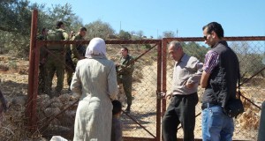 A family in Qaryut was stopped by Israeli soldiers from harvesting their olive trees