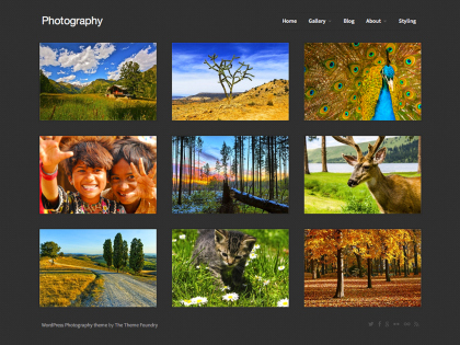 Photography WordPress Theme