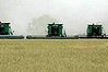 Coonamble
Photo Michele Mossop
Wednesday 3rd december 2008
Wheat harvest - silos on a property between walgett and Coonamble
Generic rural wheat harvest farming harvester commodities casual work global financial crisis food flour bread export

Property for lease generic property rental crisis
 SPECIAL 97545