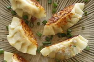 Gyoza dumplings.