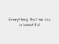 Lee DeWyze - Beautiful Like You w/lyrics [HQ]