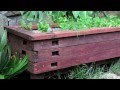 How to... Create an aquaponic pond system