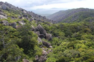 Cape Melville (Conrad Hoskin)