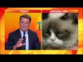 Grumpy Cat VS Karl Stefanovic