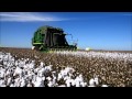 Cotton Harvest, Wee Waa Australia, 2013