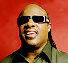 'I'm no better than the next person' … Stevie Wonder.