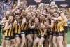 Hawks celebrate with the AFL premiership cup