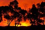 Rob090208.001.005.jpg
Fire Chum Creek seen from Healsville (saturday 7 Feb).
Picture: Rob Carew 0421 124 830