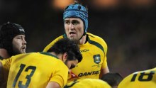 Cost cutting ... The Wallabies' match payments will be reduced from next season