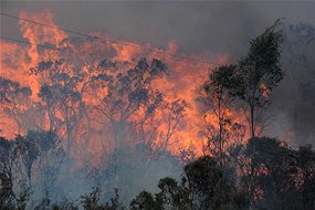 Bushfires bells line of road Lithgow NSW