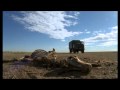 Wild Horses of Mongolia with Julia Roberts 1/5