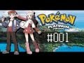 Pokemon Platinum Randomized Monotype Co-op - Part 1: Not the best start