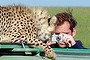 Big Picture Cheetah