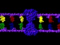 DNA Mutations | Genetics | Biology